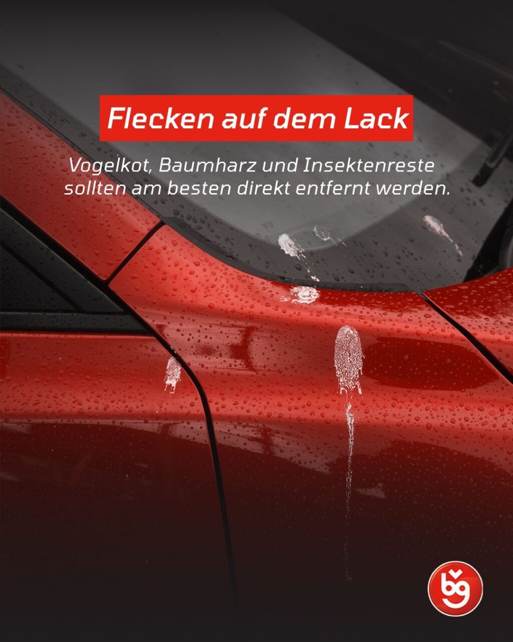 Instagram post from vbg_fahrschule. This post is in position 1.