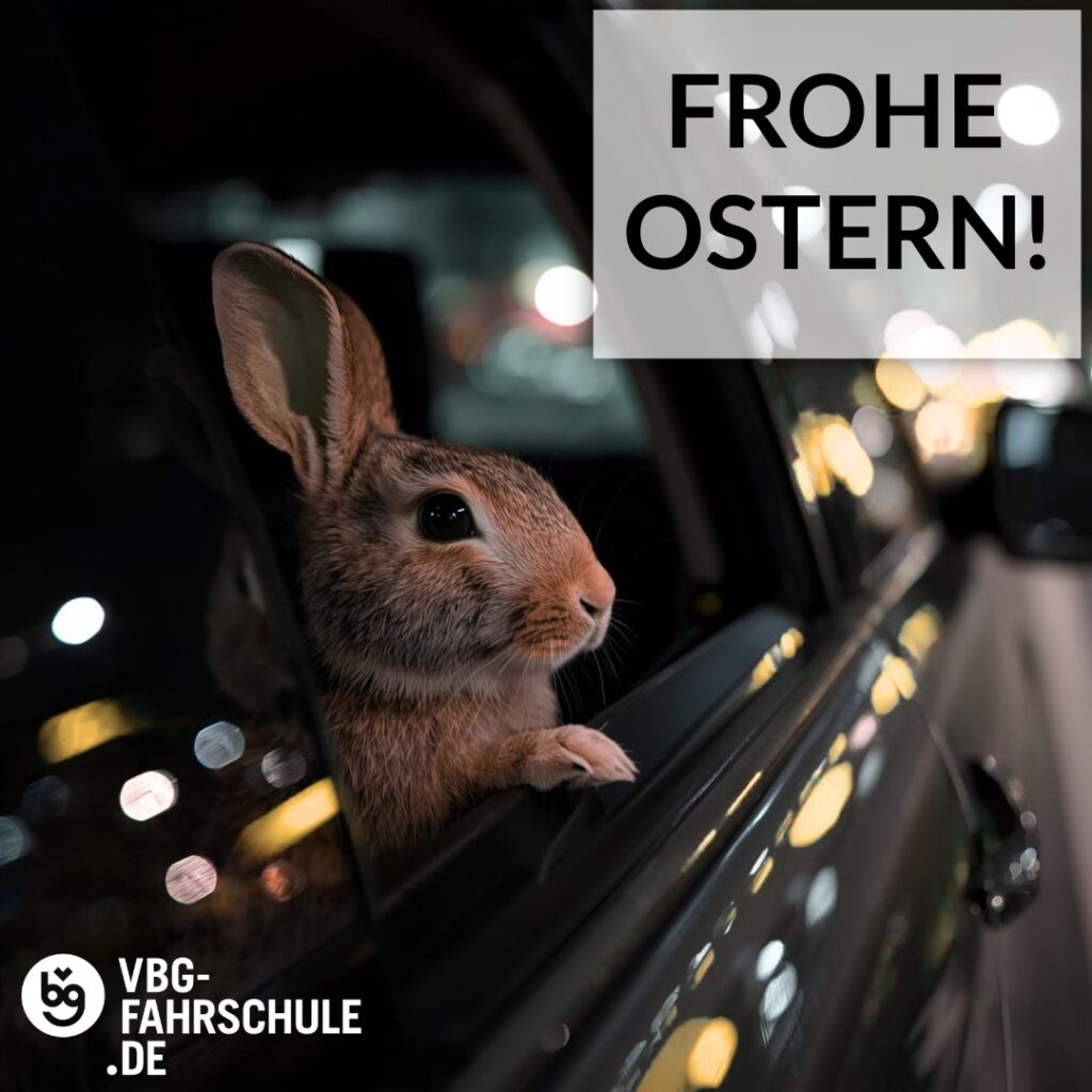 Instagram post from vbg_fahrschule. This post is in position 0.