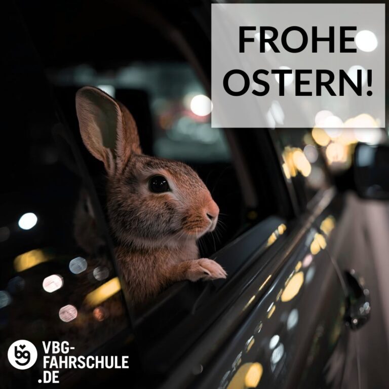 Instagram post from vbg_fahrschule. This post is in position 1.